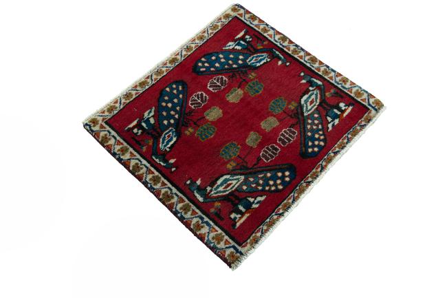 Shiraz - 2