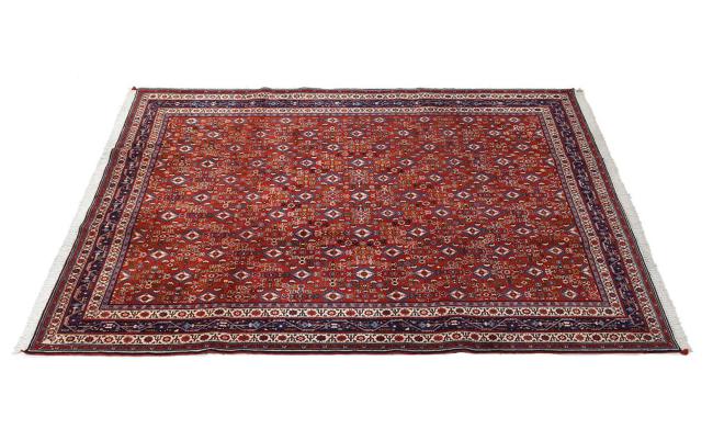 Kashkuli - 8