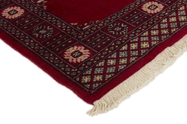 Pakistan Buchara 2ply - 3