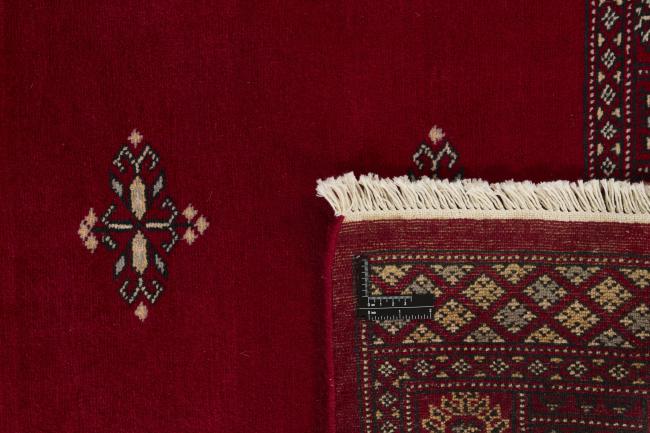 Pakistan Buchara 2ply - 1