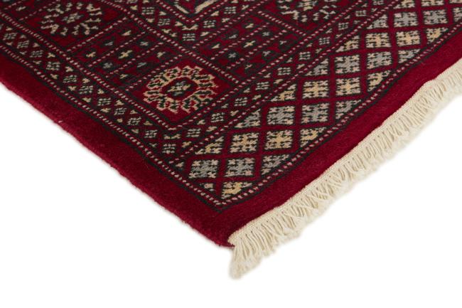 Pakistan Buchara 2ply - 3