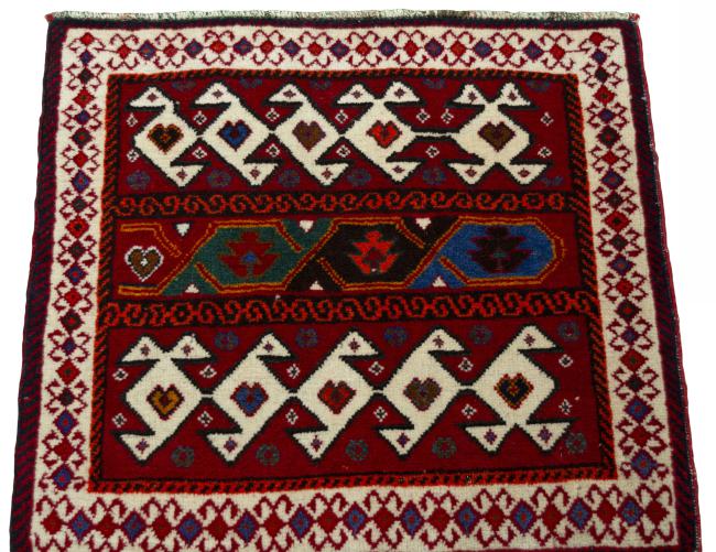 Shiraz - 3
