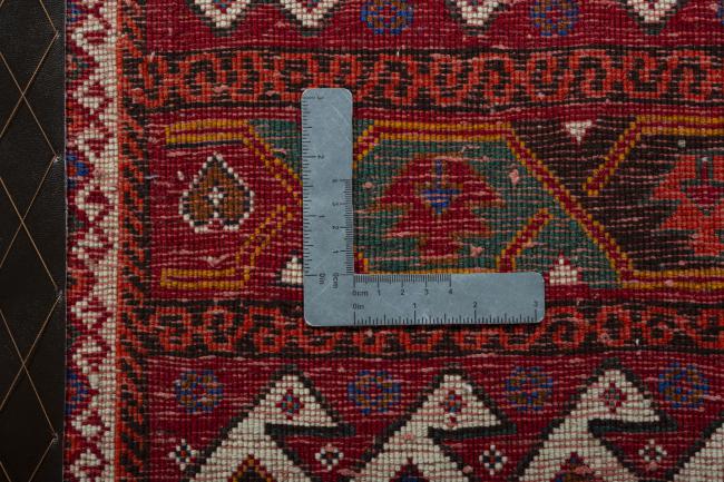 Shiraz - 4