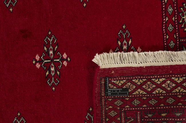 Pakistan Buchara 2ply - 1