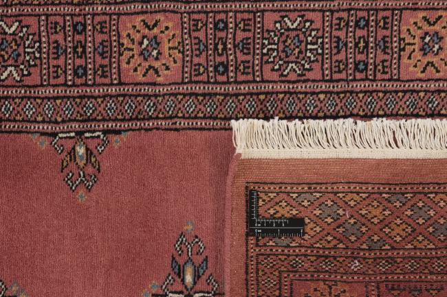 Pakistan Buchara 2ply - 1