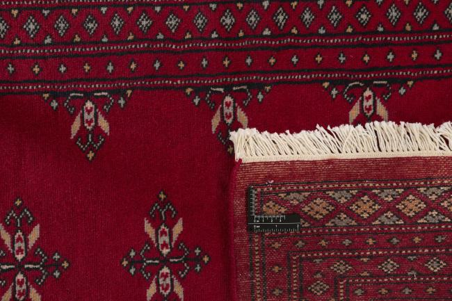 Pakistan Buchara 2ply - 1