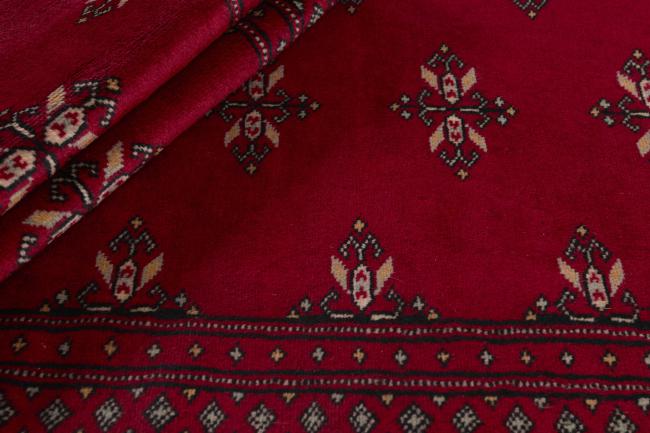 Pakistan Buchara 2ply - 2