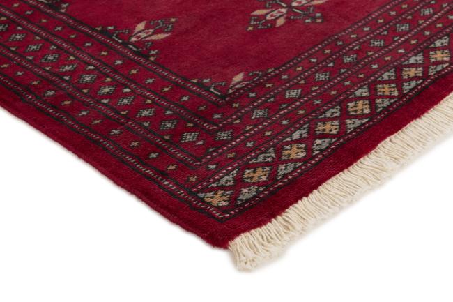 Pakistan Buchara 2ply - 3