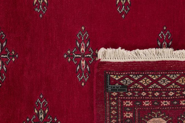 Pakistan Buchara 2ply - 1