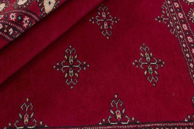 Pakistan Buchara 2ply - 2