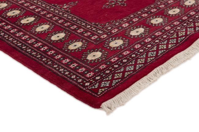 Pakistan Buchara 2ply - 3