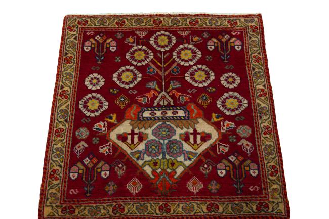 Shiraz - 3