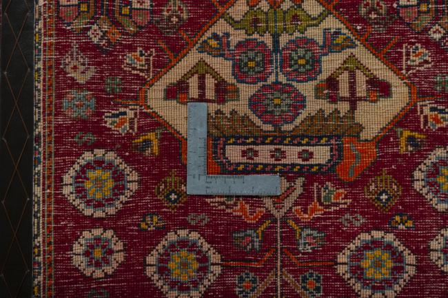 Shiraz - 4