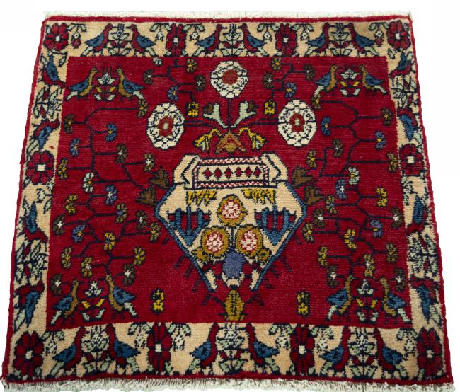 Shiraz - 3