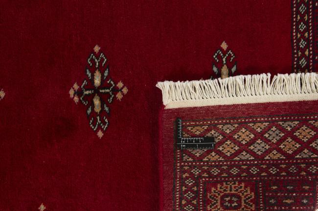 Pakistan Buchara 2ply - 1
