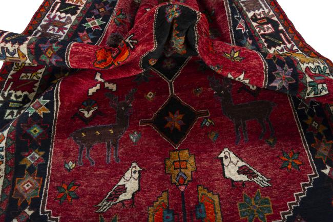 Shiraz - 8
