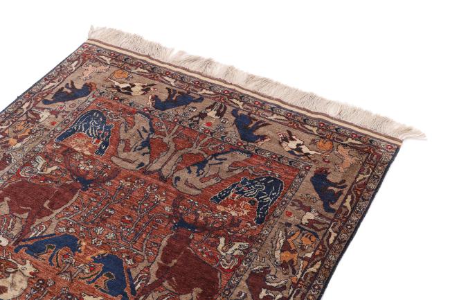 Afghan Mauri Seide - 3