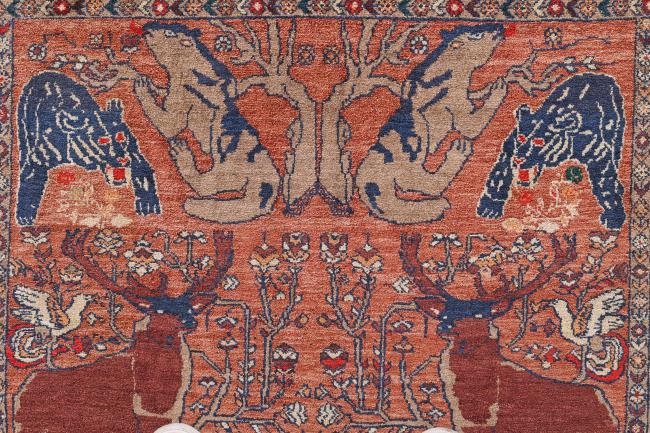 Afghan Mauri Seide - 7