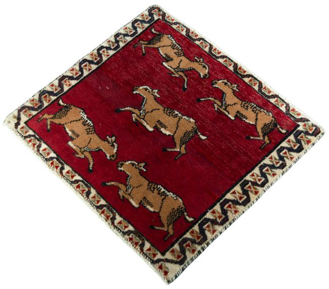 Shiraz - 1