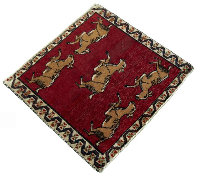 Shiraz - 2