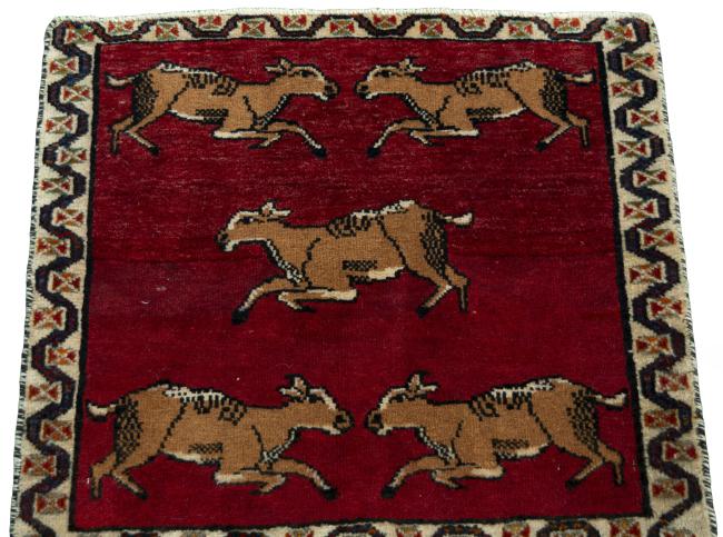 Shiraz - 3
