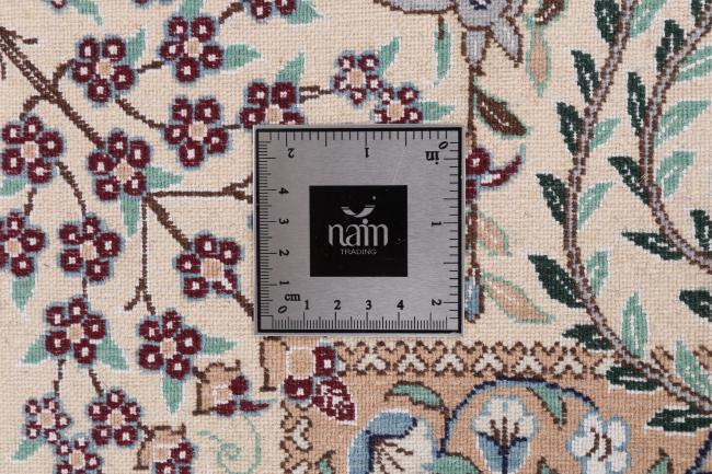 Nain 6La - 11