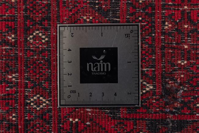 Afghan Mauri - 8