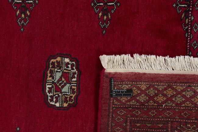 Pakistan Buchara 2ply - 1