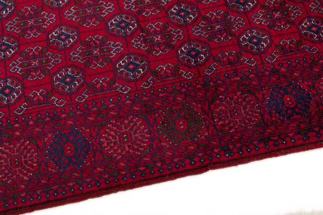 Afghan Mauri - 4