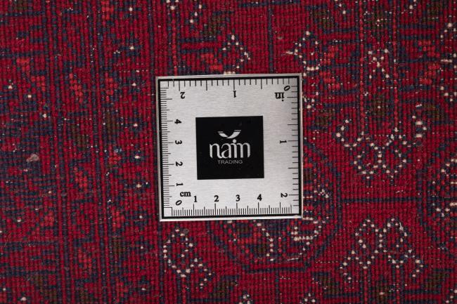 Afghan Mauri - 7