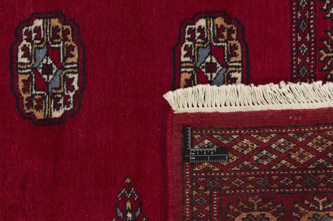 Pakistan Buchara 2ply - 1