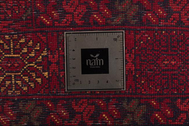 Afghan Mauri - 7