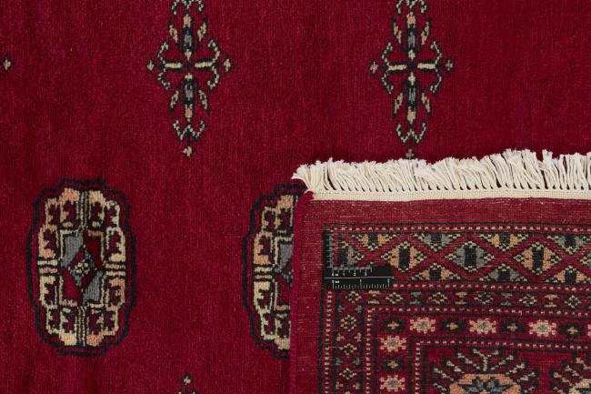 Pakistan Buchara 2ply - 1