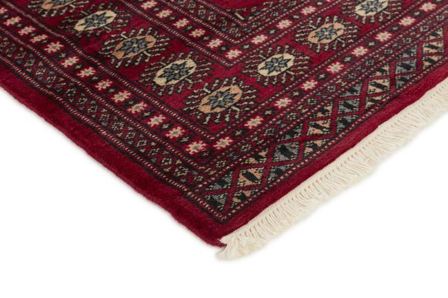 Pakistan Buchara 2ply - 3