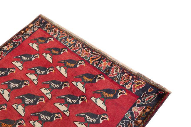 Shiraz Old - 3