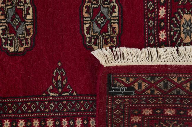 Pakistan Buchara 2ply - 1