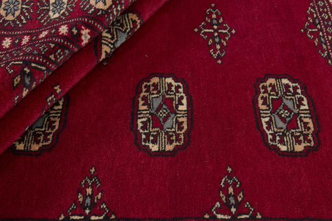 Pakistan Buchara 2ply - 2