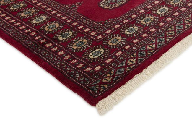 Pakistan Buchara 2ply - 3