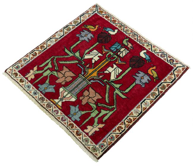 Shiraz - 1