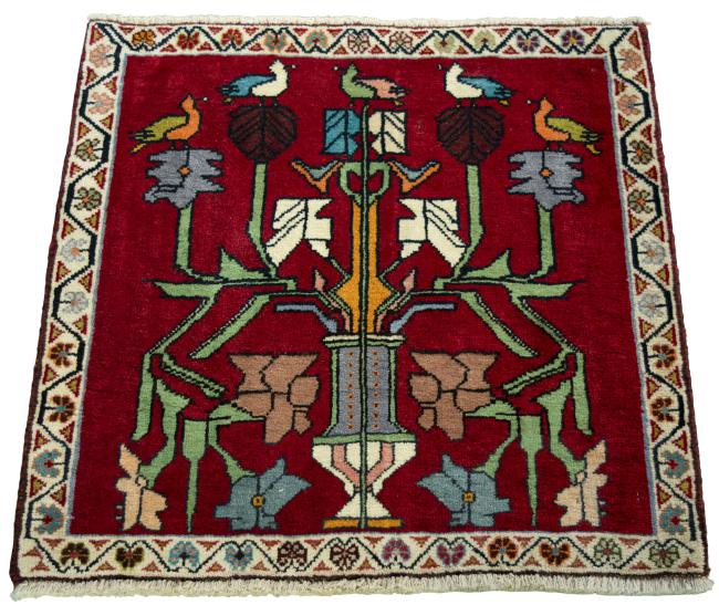 Shiraz - 3
