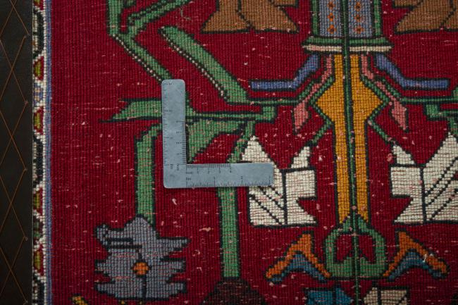 Shiraz - 4
