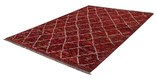 Berber Maroccan - 1