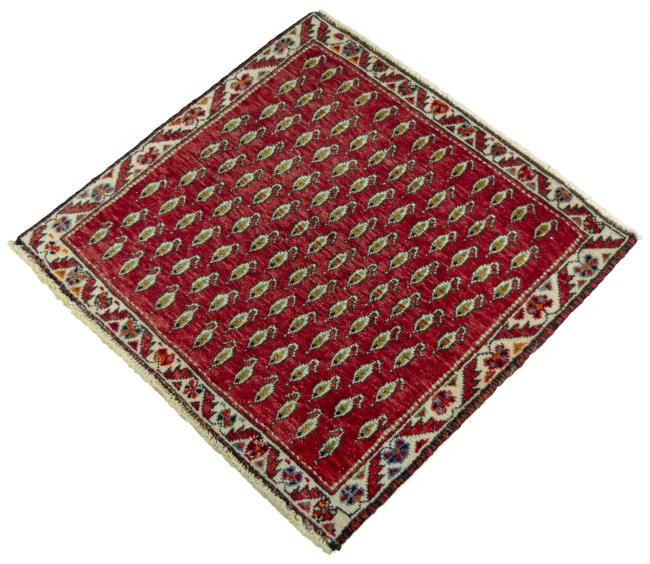 Shiraz - 1