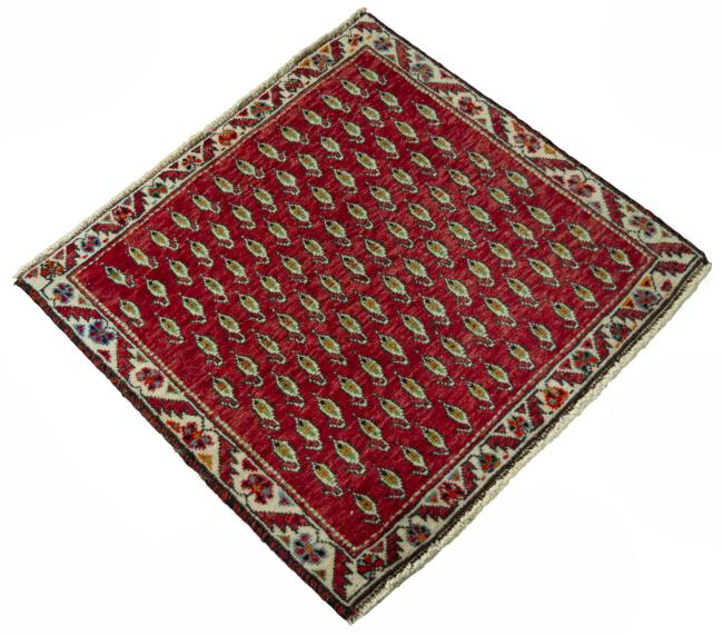 Shiraz - 2