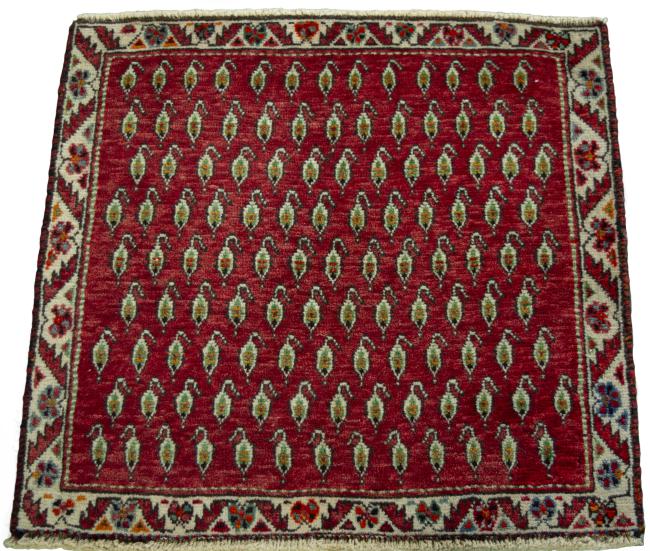 Shiraz - 3