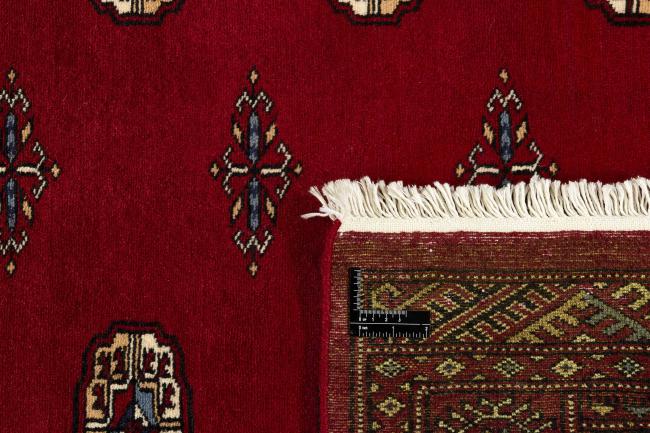 Pakistan Buchara 2ply - 1