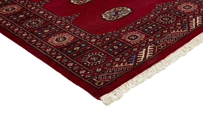 Pakistan Buchara 2ply - 3