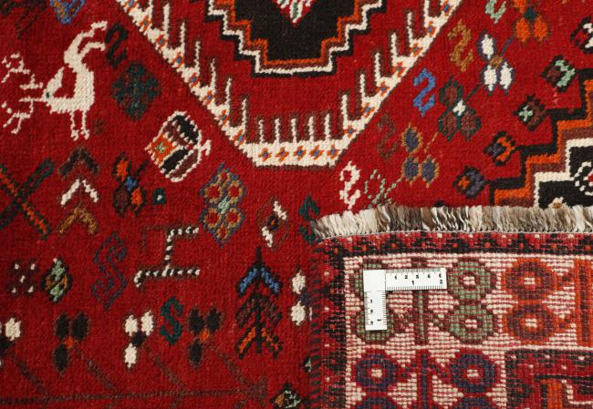 Shiraz - 1