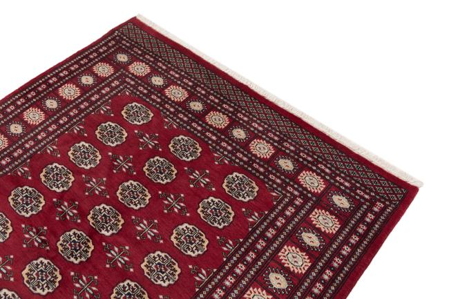Afghan Mauri - 3