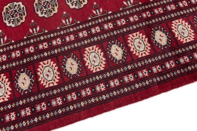 Afghan Mauri - 4